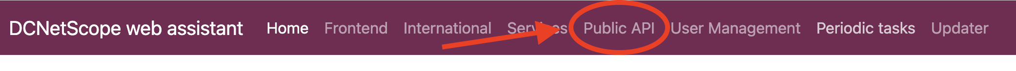 Public API menu item