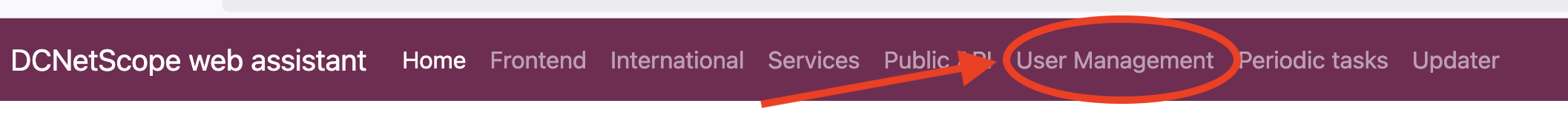 Public API menu item