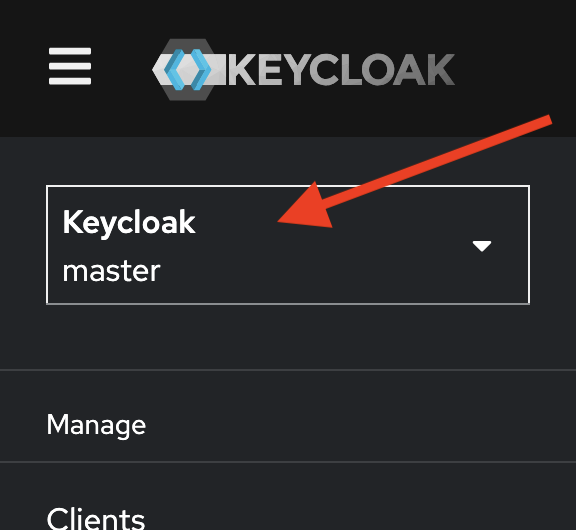 Public API menu item